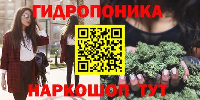 соль ск Можга
