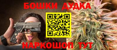 сатива Моздок